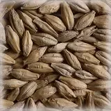 Malt Château Tourbé (Purificado) - Product Image 1