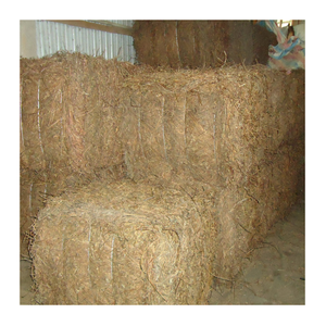 วุ้นหญ้าสีดำแบบเวียดนามแท้สำหรับดื่มเครื่องดื่มและของหวาน - Product Image 3