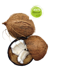 Touche de finition pour les compotes de fruits noix de coco séchées dans les produits agricoles - Product Image 5