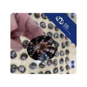 BEST SELLER Coquille de limpet Utilisée pour l'artisanat décoratif, l'assemblage et l'affichage à des fins commerciales au Vietnam - Product Image 1