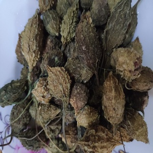 Manzana amarga-Calabaza amarga | Calabaza amarga seca al sol natural orgánica - Product Image 3