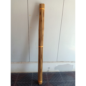 ¡Vendedor caliente! ¡Tendencia caliente! Palo de bambú para planta/fuerte resistente profesional soporte de planta de bambú bastones de bambú/estacas/poste - Product Image 5