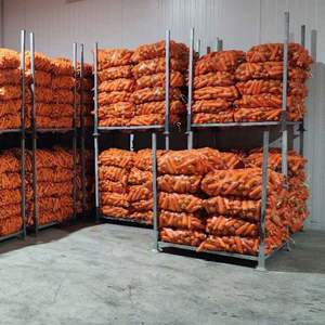 Zanahorias orgánicas congeladas Verduras frescas de Vietnam Sabor dulce saludable Compradores internacionales de naranja con alto contenido de vitamina - Product Image 1