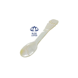 Conch seashell spoon Best Price from Vietnam - Product Image 3