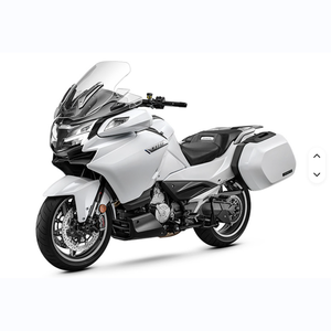 Motocicleta CFMOT_O 1250TR-G 2024 completamente nueva, modelo 2024 CFMOT_O 1250TR-G, estilo crucero. - Product Image 1