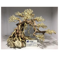 Hot Deal Accessoires de décoration d'aquarium naturel Bonsai Driftwood du Vietnam pour les grossistes