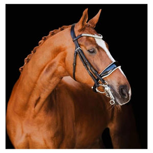 Uy Lumiere questrian rideline uxury eaeath riridle rior Horse plegado - Product Image 5