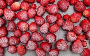 2025 MEILLEUR VENDEUR Lyophilisé Fraise FD Fruit Agriculture Produit Bonne Qualité BLEU LOTUS - Product Image 3