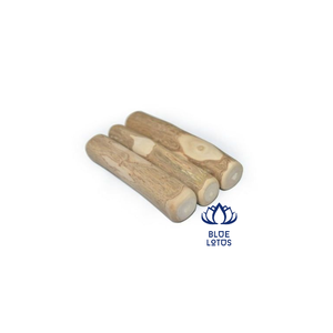 เชือกจูงสุนัขทำจากไม้กาแฟดีไซน์ใหม่เป็นมิตรต่อสิ่งแวดล้อม - Product Image 1