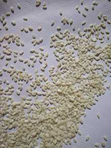 เมล็ดงาดำปอกเปลือกคุณภาพพรีเมียม เมล็ดธรรมชาติคุณภาพสูงสำหรับทำอาหาร อบขนม ของว่าง และสูตรอาหารเพื่อสุขภาพ - Product Image 2