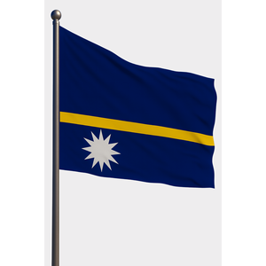 Drapeau de Nauru pour l'extérieur, style fanion, impression numérique, mât en fibre de verre et aluminium durable, soie, plastique, polyester de qualité - Product Image 1