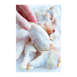 Ailes de poulet en vrac, prêtes à être expédiées et pour le commerce de gros - Product Image 4