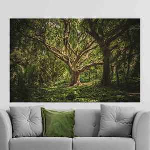 Impression sur toile Paysage d'arbre ancien : Art mural minimaliste en verre trempé, toile encadrée - Product Image 1