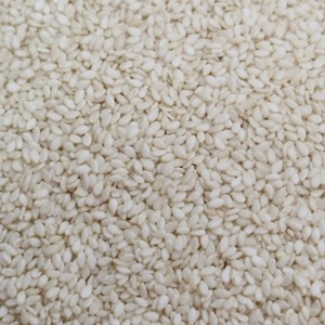 Graines de sésame nettoyées Sortex, graines de sésame décortiquées en vrac, graines de sésame les plus vendues, graines de sésame blanches en gros - Product Image 1