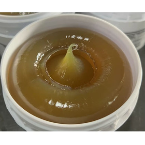 Mỡ <span class=keywords><strong>Lithium</strong></span> đa dụng MP <span class=keywords><strong>EP</strong></span> <span class=keywords><strong>3</strong></span> màu nâu hổ phách đậm, cứng, dày, có thể tùy chỉnh theo yêu cầu của nhà sản xuất thiết bị gốc (OEM) - Product Image 3