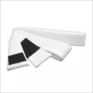 2022 personnalisé karaté uniforme ceinture Fitness porter avec différentes couleurs et Logo de l'équipe pour les arts martiaux - Product Image 4