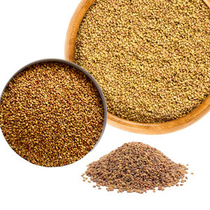 Alfalfa | Seleccionada por alta nutrición y alimentación fácil - Product Image 4