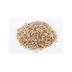 Semillas de cebada de calidad de exportación mantenido en stock para envíos a granel confiables y flujo comercial - Product Image 4