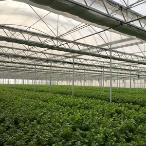 Energy-Efficient Modern Multi-Span Single Layer Large <b>Plastic</b> Commercial Film Greenhouse for Sustainable Growers - Product Image 4