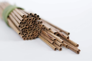 Vente en gros de pailles à boire à la noix de coco réutilisables et écologiques Dragonex Brand 100% Logo personnalisé Biodégradable naturel Origine du Vietnam pour - Product Image 3