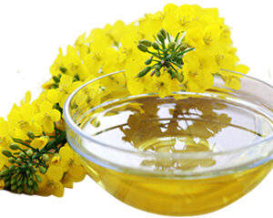 Huile de colza brute, non raffinée, pressée à froid, huile brute (500 ml) Huile de colza biologique pressée à froid, 1L - Product Image 5