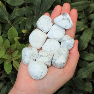 Piedras de Howlita Blanca Pulida al por Mayor, 15-30 mm, Cristales Metafísicos Curativos a Granel para Reiki, Meditación, Manualidades para el Hogar - Product Image 1