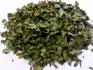 Hojas de Moringa Oleifera Secas de Vietnam al por Mayor, Aptas para Bolsitas de Té Sueltas, Marca Personalizada Directa de Fábrica - Product Image 2