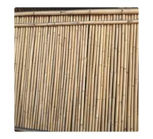 Fabricante Vietnamita de Postes de Bambú Natural para Infraestructura Agrícola y Exportación - Product Image 1