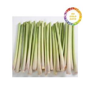 Exportation en vrac de citronnelle congelée du Vietnam, choix parfait pour les importateurs à la recherche de grandes quantités à des prix compétitifs - Product Image 3