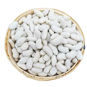 Vender Alta Qualidade Preço Online Importação Bulk Long White Kidney Beans Fornecedor