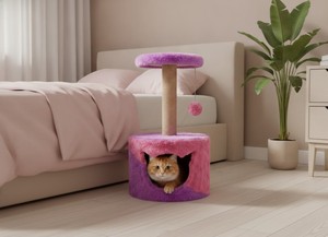 Arbre à chat universel Amistar Classic en bois, 2 niveaux, design écologique, confortable pour toutes les tailles, emballé en carton - Product Image 3