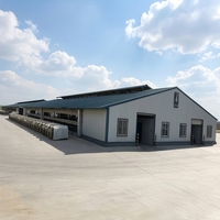 Structure en acier sur mesure pour étable à vaches laitières, bâtiment d'élevage ventilé pour bétail