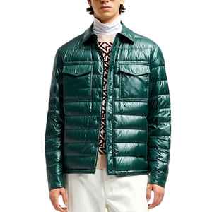 Veste d'hiver matelassée de haute qualité, personnalisée, imperméable, en nylon, à capuche, rembourrée de duvet, unisexe, fermeture éclair décontractée pour toutes les saisons - Product Image 1