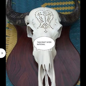 ที่แขวนหรือยืนสำหรับผนังอุปกรณ์ตกแต่งบ้านที่หรูหราแกะสลักรูปควายหัววัวทำด้วยมือ - Product Image 1