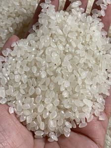 ข้าวบาสมาติกสีขาวขนาดกลางข้าวบาสมาติกแตก3% เนื้อนุ่มดั้งเดิมจากเวียดนามข้าวญี่ปุ่นแบบแห้งสำหรับอาหาร - Product Image 4