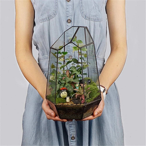 Grande serre géométrique verre Terrarium Pots de plantes en gros jardinière en laiton boîte à fleurs noir enduit taille personnalisée décors de table - Product Image 5