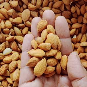 Núcleos de Albaricoque Enteros y Amargos Dulces, Frutos Secos Deshidratados por Congelación (FD), Suministro de Fábrica, Mejor Precio, Empaque a Granel, En Venta - Product Image 6