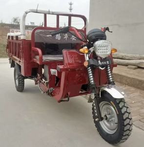 Motocicleta de Carga de 150cc 200cc Directo de Fábrica - Triciclo de Servicio Pesado en Venta - Product Image 3