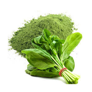 Poudre d'épinards naturelle disponible en vrac pour l'exportation vers les entreprises d'aliments santé et de suppléments - Product Image 4