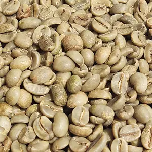 Prezzo più economico originale VIETNAM di alta qualità di grado 1 ROBUSTA verde caffè per gli importatori contattare WHATSAPP MRTONY + 84 938 736 924