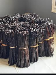 Vainas de Vainilla Negra Secas Grado A+ de Sudáfrica, Vainas Enteras Gourmet para Repostería y Procesamiento de Alimentos en Venta - Product Image 3