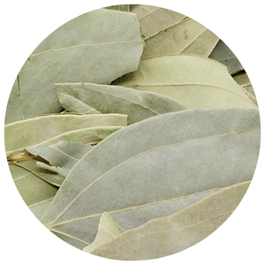 Daun kayu manis Vietnam (Cinnamomum cassia) diekspor dalam jumlah besar