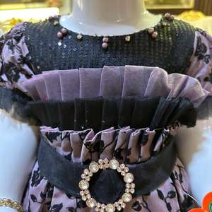 Nueva colección bordado flor niña princesa vestidos último diseño bebé vestido rebordear bebé niña ropa - Product Image 5