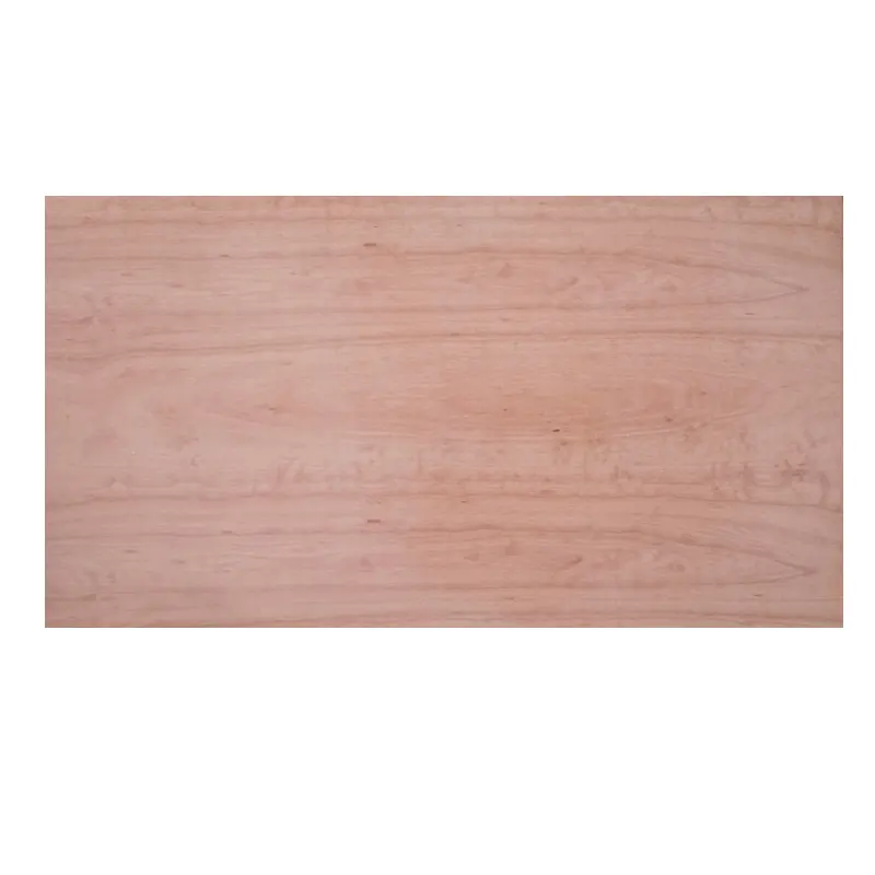 9mm 18mm 20mm 4*8 home depo tlowes contreplaqué fournisseur bunnings fournisseur de pour plancher porte conception contreplaqué 1/2