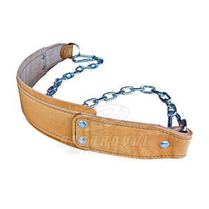 Venta caliente de alta calidad Dip Gym Belt Logotipo personalizado Levantamiento de pesas Dip Belt Premium Quality Dip Belt - Product Image 1