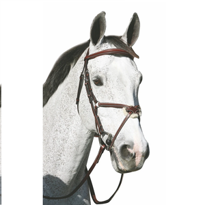 Bride en cuir de cheval de qualité supérieure disponible pour l'exportation en vrac bride en cuir de cheval meilleure qualité disponible couleur noir et marron - Product Image 3