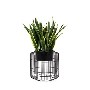 Venta al por mayor de macetas modernas ecológicas con jaula de alambre de metal macetas con recubrimiento en polvo pequeñas macetas de Interior Oficina hogar jardín interior - Product Image 3