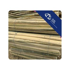 ไม้ไผ่ครึ่งแท่งขายดี สำหรับงานก่อสร้าง โครงสร้าง DIY งานฝีมือ และการพัฒนาโครงงาน ผลิตในเวียดนาม - Product Image 1