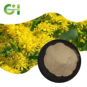 Yüksek kaliteli gıda sınıfı <span class=keywords><strong>Solidago</strong></span> <span class=keywords><strong>Virgaurea</strong></span> özü tozu 10:1 oranı 99% saf davul ambalaj - Product Image 1