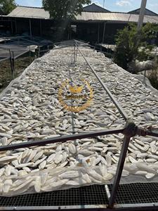 Os de seiche séché de haute qualité pour les aliments pour animaux de compagnie provenant du Vietnam pour l'alimentation animale - Product Image 5